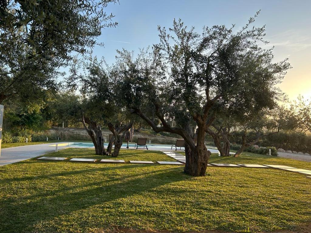 Civetta Blu Bed & Breakfast Castellammare del Golfo Exterior photo